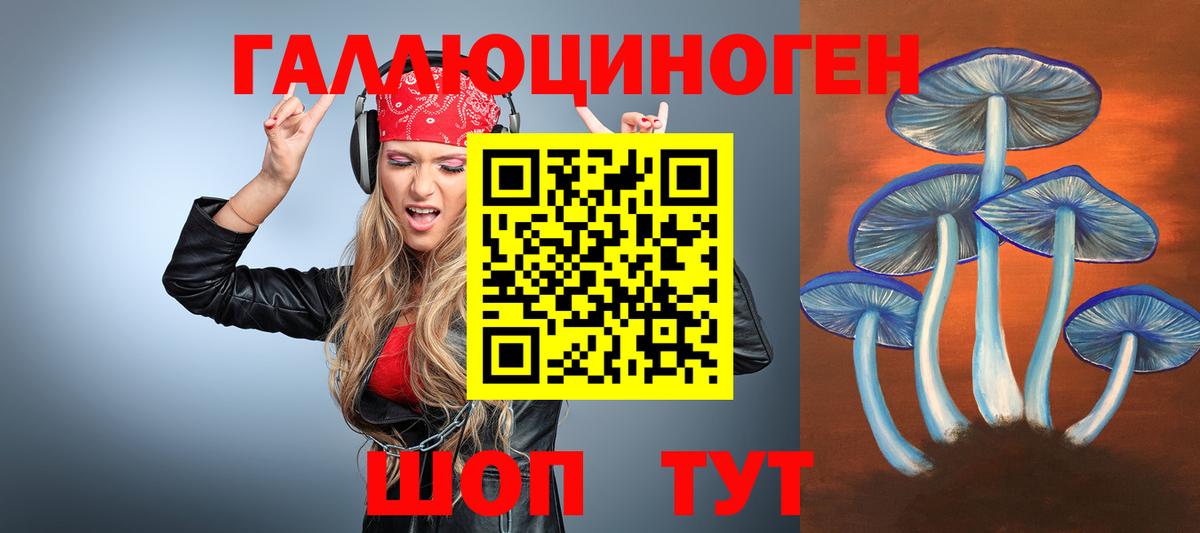 Зима  Галлюциногенные грибы ЛСД  где купить наркотик  Вход с VPN 